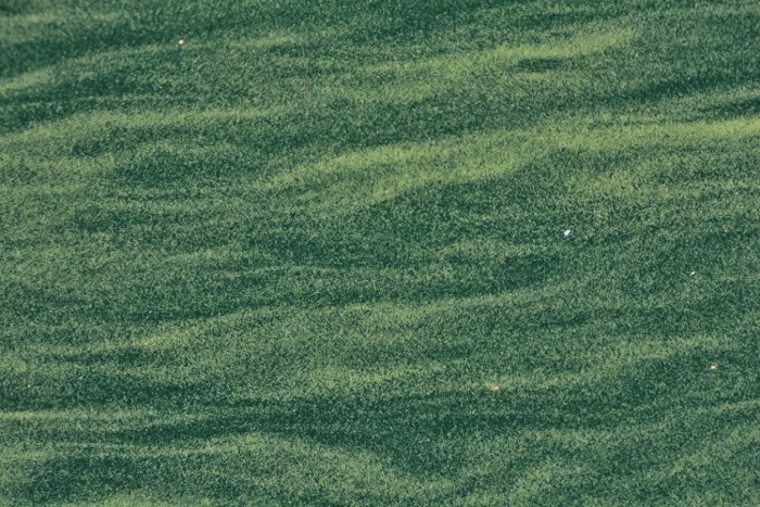 water closeup